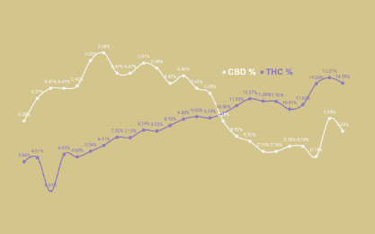 Evolución de la relación CBD / THC del cannabis
