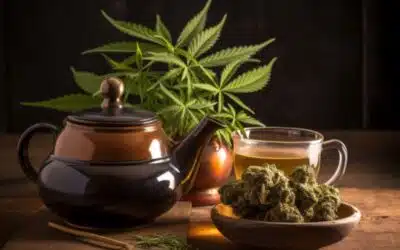 Cannabis Tee | Wirkung & Rezept – Ein entspannendes Getränk mit vielen Facetten