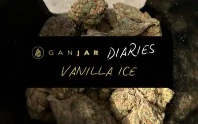 GANJAR Diaries | Vanilla Ice